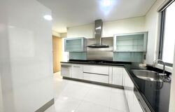 The Boulevard Residence (D10), Apartment #476132251